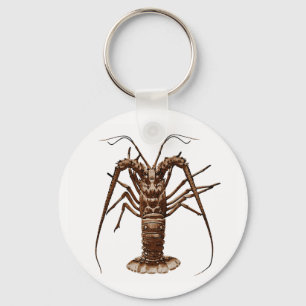 Karibisk Spiny hummer Nyckelring
