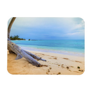 Karibiska Beachscape Magnet