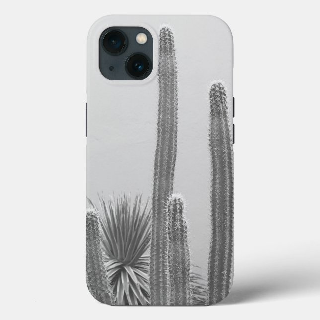 Karibiska Cactus Grove Charm 2 #art #nature (Baksida)