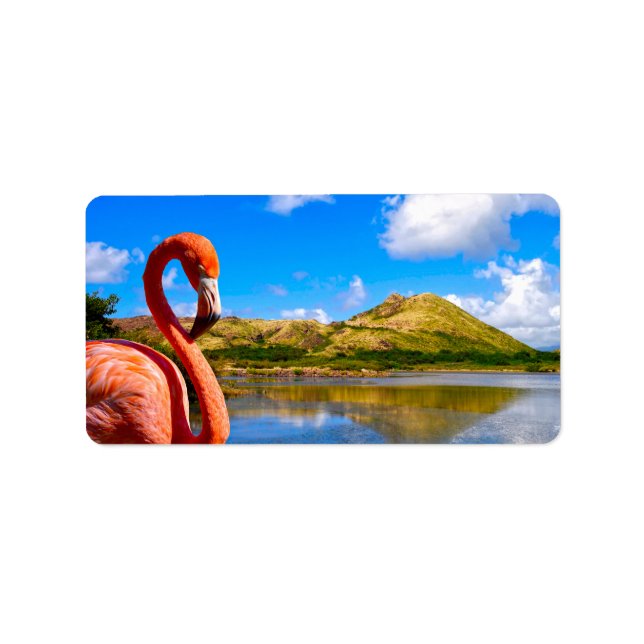Karibiska flamingo i St. Kitts Adressetikett (Framsidan)