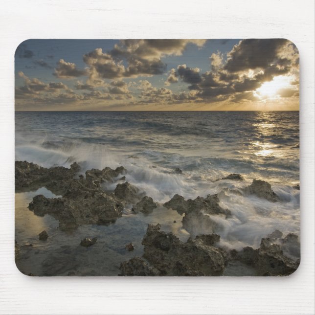 Karibiska havet, Caymanöarna  Krasch vinkarare 2 Musmatta (Framsidan)