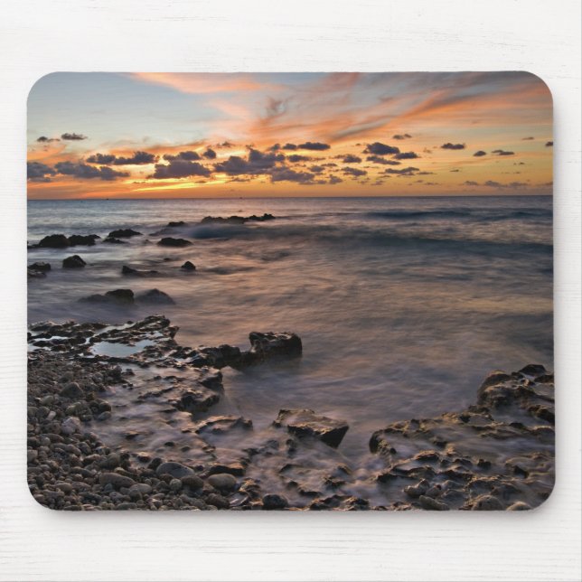 Karibiska havet, Caymanöarna  Krasch vinkarare 2 Musmatta (Framsidan)