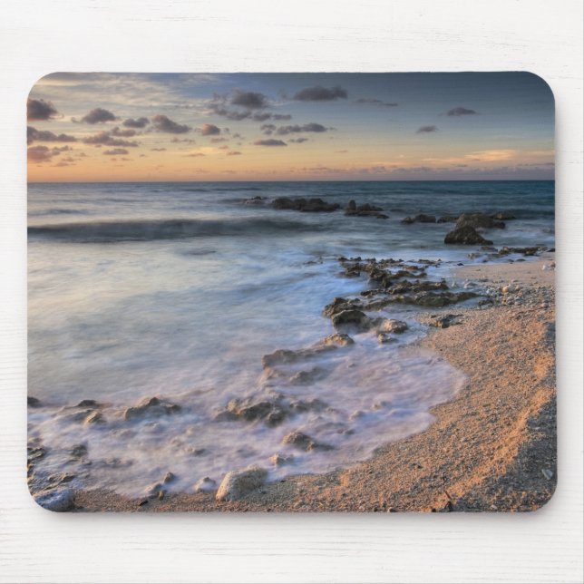 Karibiska havet, Caymanöarna  Krossade vinkarare Musmatta (Framsidan)