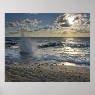 Karibiska havet, Caymanöarna Krossade vinkarare Poster