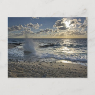 Karibiska havet, Caymanöarna. Vågor som bryts Vykort
