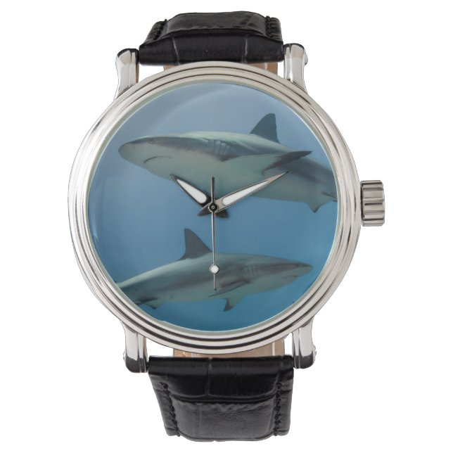 Karibiska reef Shark Armbandsur (Framsida)