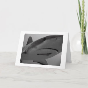 Karibiska reef Shark Kort