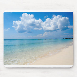 Karibiska - sju Mile strand - Cayman Islands Musmatta