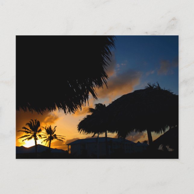 Karibiska solnedgång 2 vykort (Framsida)