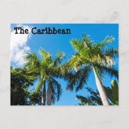Karibiska Träd Vykort