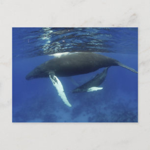 Karibiska, Underbarare Antilles skärgård, Vykort