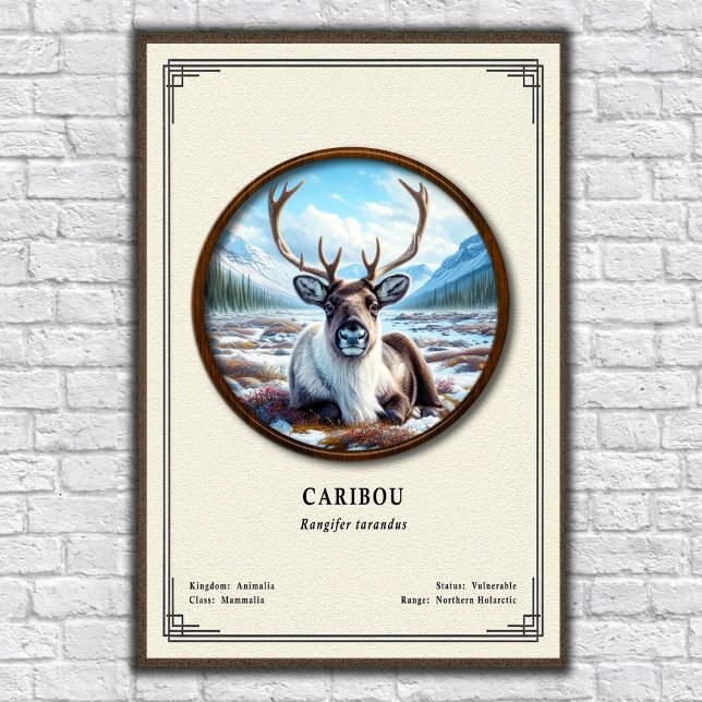 Karibous zoologiserie poster (Skapare uppladdad)