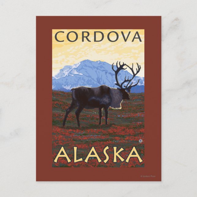 Karibuscen - Cordova, Alaska Vykort (Framsida)