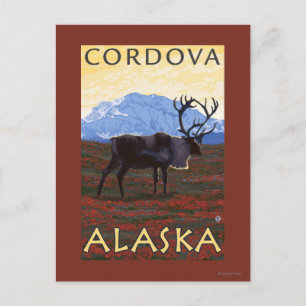 Karibuscen - Cordova, Alaska Vykort