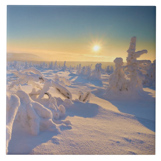 Karkonosze Mountains, nationalparken Kakelplatta (Framsidan)