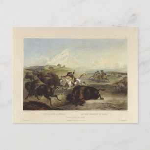 Karl Bodmer - Indianer som jagar bison Vykort