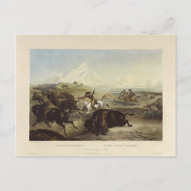 Karl Bodmer - Indianer som jagar bison Vykort (Framsida)