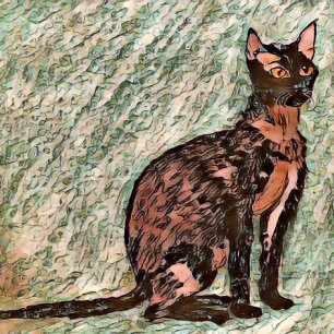 Karl Cat 🐈 Kudde