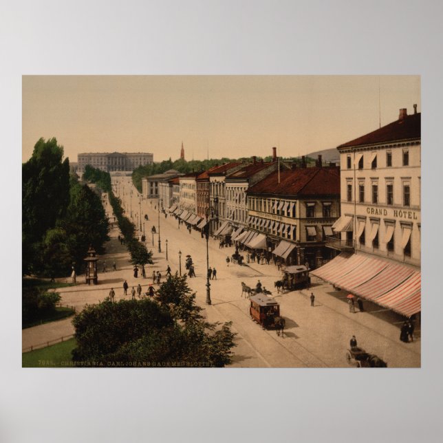 Karl Johans Gade och Slottet, Oslo, Norge Poster (Framsidan)