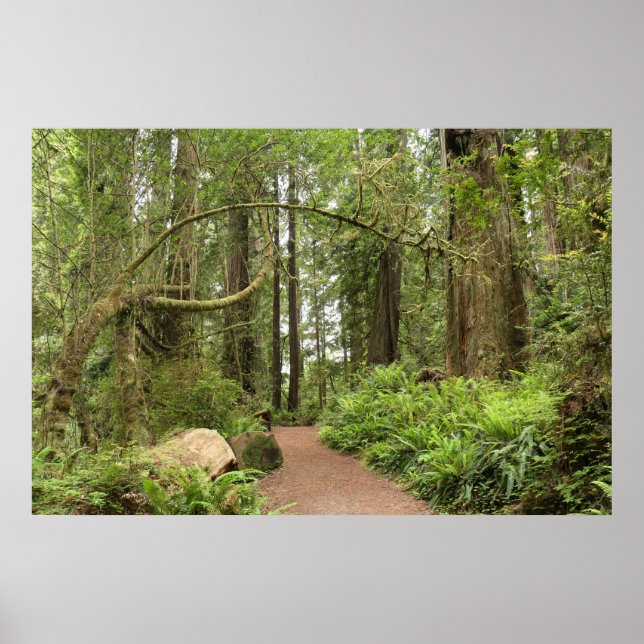 Karl Knapp Trail Poster (Framsidan)