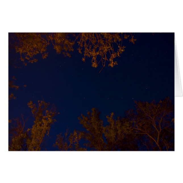 Karlavagnen Hälsningskort (Framsidan Horizontal)