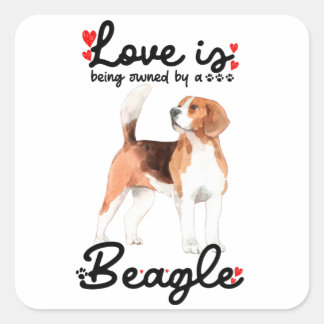 Kärlek ägs av en beagle fyrkantigt klistermärke