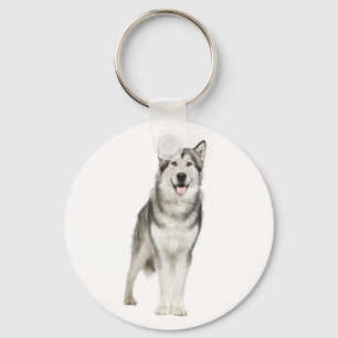 Kärlek Alaska Malamute Puppy-Hund Nyckelring