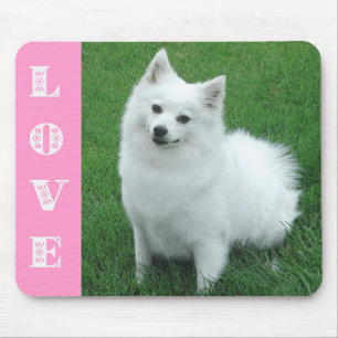 Kärlek American Eskimo Puppy Hund Mousepad Musmatta