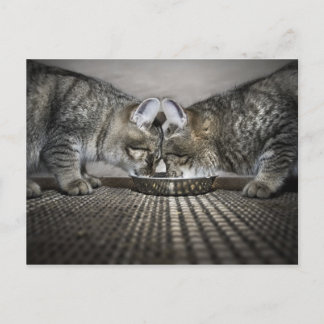 kärlek är ... delning vykort