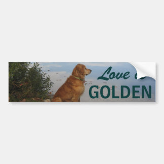 Kärlek är guld- bildekal