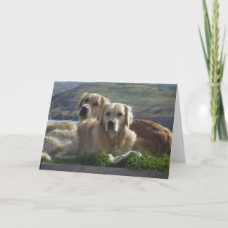 Kärlek är gyllene kort