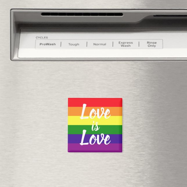 Kärlek är kärlek regnbåge HBTQ stolthet Magnet (In Situ (Dishwasher))