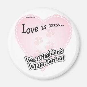Kärlek är min Väster Highland White Ter... Magnet