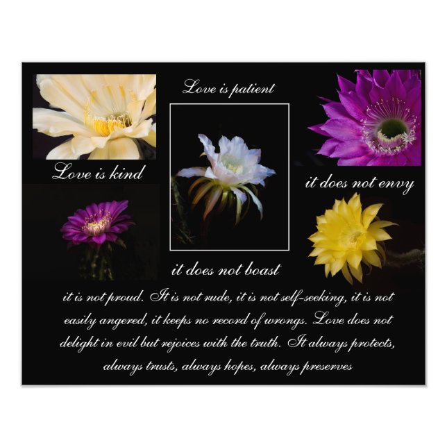 Kärlek är Patient, Kärlek är Cactus-blomman stil Fototryck (Framsidan)