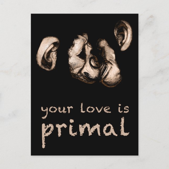 kärlek är primal: kyssar schimpor vykort (Framsida)