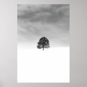 KÄRLEK ÄR VINTERFOTOGRAFIS ENKLA. POSTER