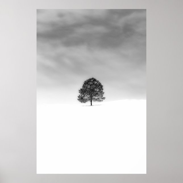 KÄRLEK ÄR VINTERFOTOGRAFIS ENKLA. POSTER (Framsidan)