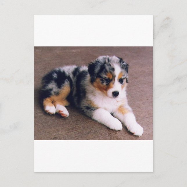 Kärlek är vykort (Framsida)