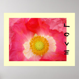 Kärlek art skriver ut Red Oriental Poppy Flower Gu Poster