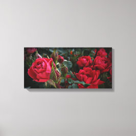 Kärlek av Blooms (Röd ros & Buds) Canvastryck