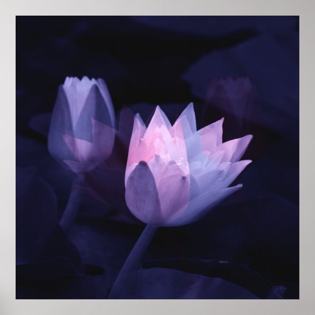 Kärlek av lögner.... poster (Framsidan)