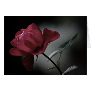 Kärlek Beauty Card OBS Kort