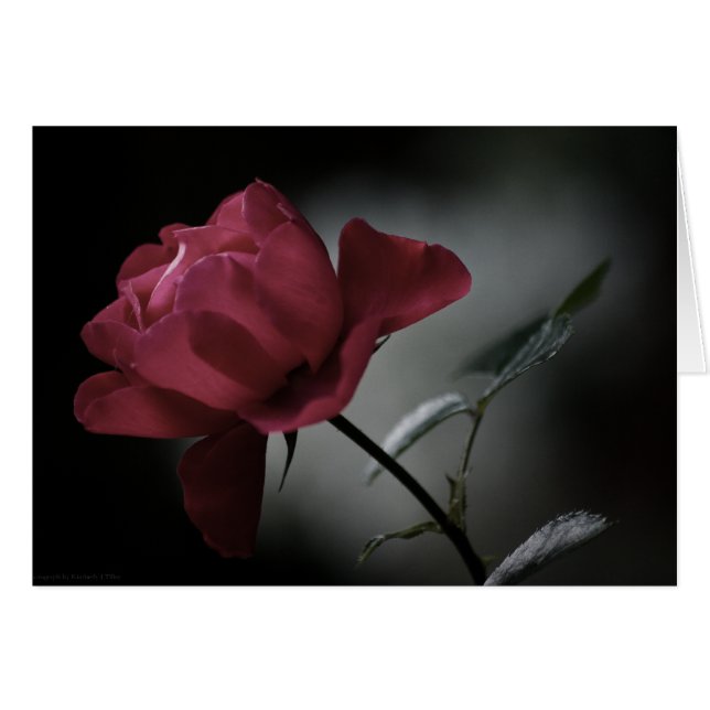 Kärlek Beauty Card OBS Kort (Framsidan Horizontal)