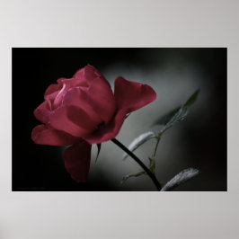 Kärlek Beauty Print Poster