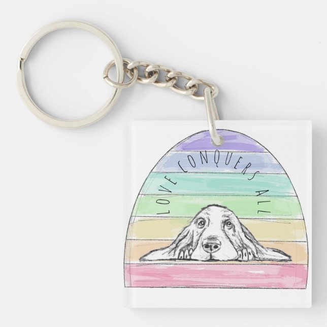 kärlek besegrar allt hund regnbåge basset hound  (Framsidan)