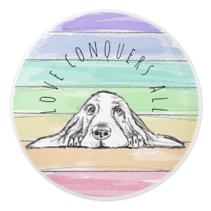 kärlek besegrar allt hund regnbåge basset hound knopp