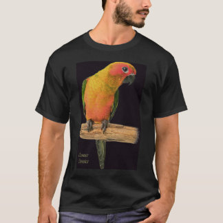 kärlek bird_black/bgrnd tee