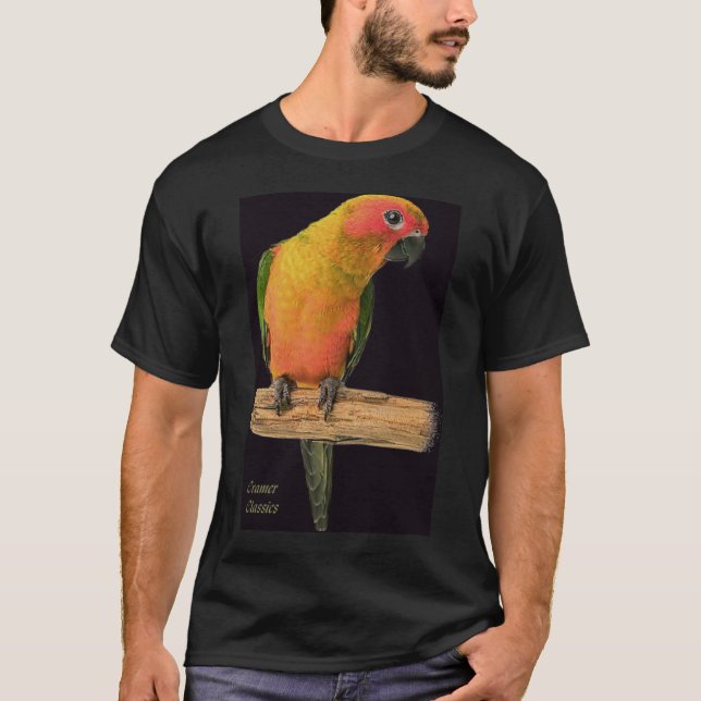 kärlek bird_black/bgrnd tee (Framsida)