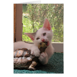 Kärlek Bita Hälsningskort