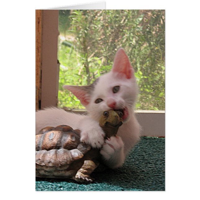 Kärlek Bita Hälsningskort (Framsidan)